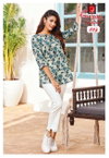 Vaani Vol 1 By Ganpati Cotton Summer Special Ladies Top Wholesale Market In Surat